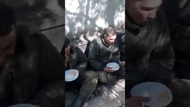 пленные с Красного луча и Антрацита, взятые в Харьковской области