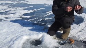 Рыбалка в Бурятии, озеро Гусиное 20 03 2015