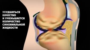 amway Глюкозамин