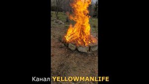 Огонь очень опасен или как горит свежая ель