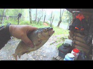 Поездка перед "запретом"