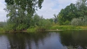 Кормление мускусных уток в домашних условиях.