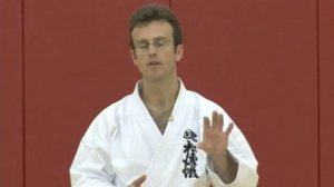 Karate Concepts: Dealing with the Challenge of Karate