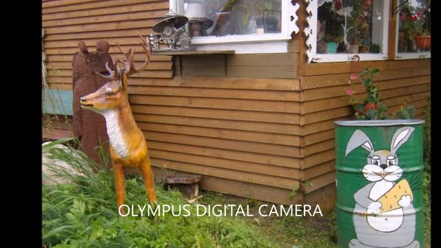 Красивый участок Гали Васильевой смотреть онлайн