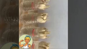 Как вырастить чеснок дома быстро на воде?