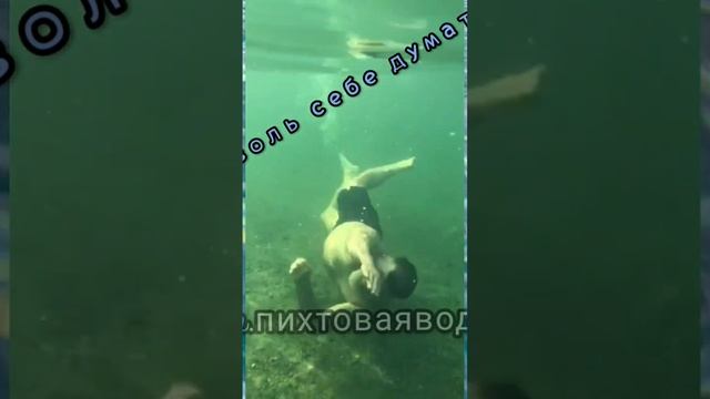 Лучший иммунитет с НАТУРАЛЬНЫМ продуктом Пихтовая вода