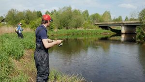 БЕШЕНЫЙ клев щуки! Преимущества кастинговой снасти - Fishing Today.