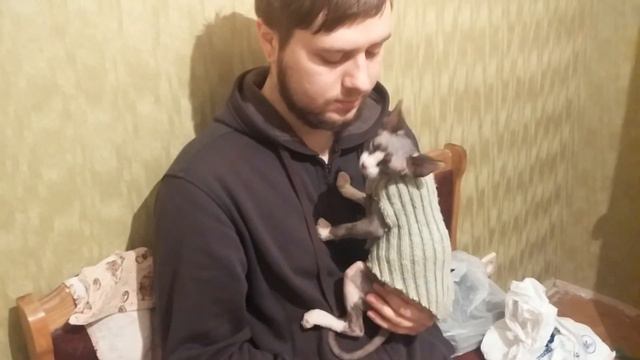 У тебя есть борода и я скажу тебе "Да". Кот и борода