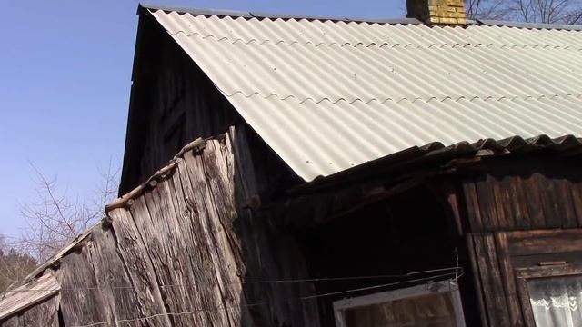 12 важных ПРАВИЛ перед покупкой дома в деревне от художника в деревне.
