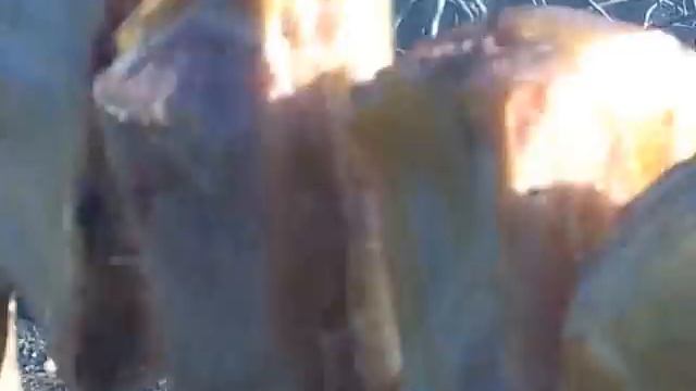 коптильня своими руками