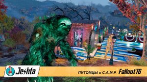 Мои новые питомцы в Fallout 76