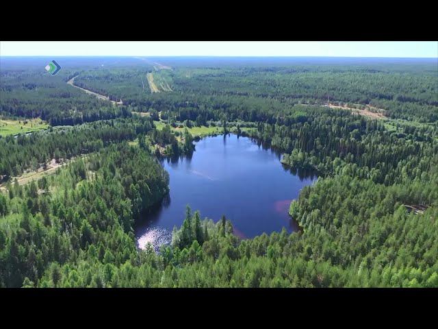 Параськины озера в объективе Николая Зиновьева 2023 Моя Ухта ВКонтакте