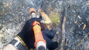 Тушение лесного пожара.