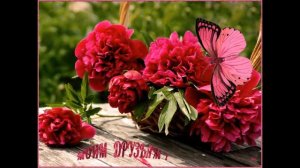 Михаил Грицкан   песни шансон