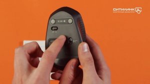 Обзор мыши LOGITECH B330 Silent Plus | Ситилинк