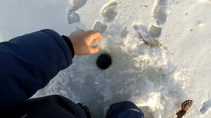 Озеро Красногвардейское, рыбалка на подлещика