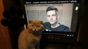 У Юрия Дудя самый милый котенок на свете!