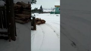 Тайга ст 500 д возим дрова, прёт как танк.