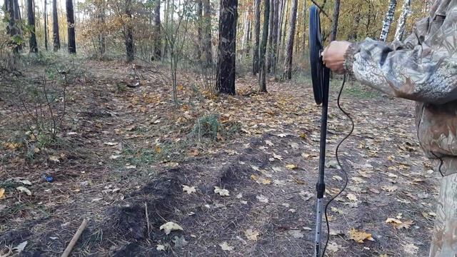 ЗАЧЕМ НУЖНА ВЫСОКАЯ ЧАСТОТА. АКА СИГНУМ ,Сравнение катушек смотреть онлайн