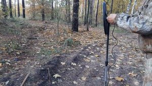 ЗАЧЕМ НУЖНА ВЫСОКАЯ ЧАСТОТА. АКА СИГНУМ ,Сравнение катушек