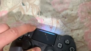 Геймпад от Ps4 к Nintendo switch light?