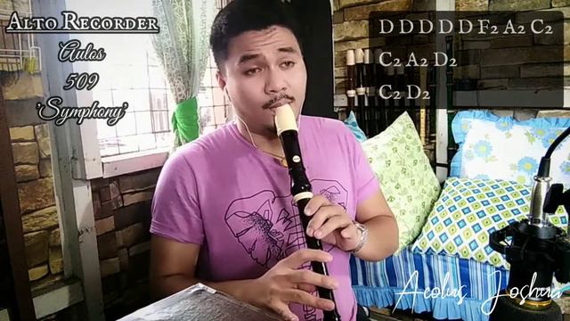 GIMME! GIMME! GIMME! - ABBA  Recorder Flute Cover with Letter Notes