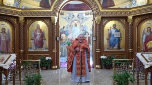 Виноградник и виноградари. Проповедь свящ. Георгия Полякова в 13-ю неделю по Пятидесятнице.