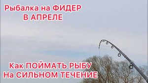 Рыбалка на ФИДЕР в АПРЕЛЕ/ Как поймать РЫБУ на СИЛЬНОМ ТЕЧЕНИИ