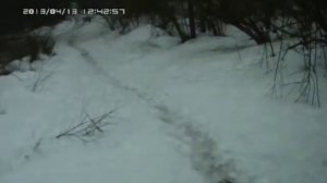 Белая гвардия vs Басмачи Демократы