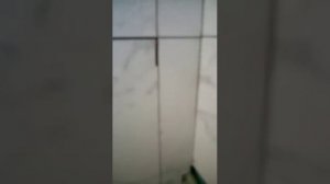 Плиточники от бога!!) Как нельзя укладывать плитку. Подписывайтесь на канал!))