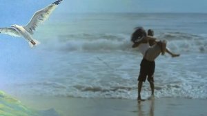 Чайки над водой