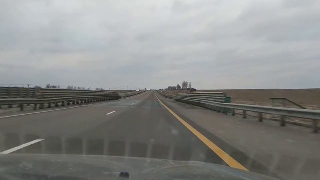 Знакомство с Арчи.Выиграли малька АККР смотреть онлайн