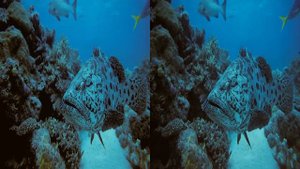 Самый эффектный 3D ролик