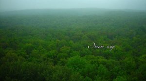 Только раз в году бывает май...