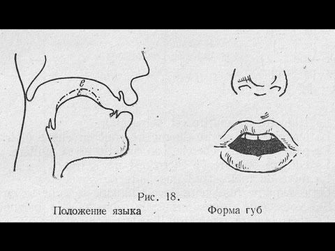 Французское произношение. УРОК 6. Звук [ɛ]