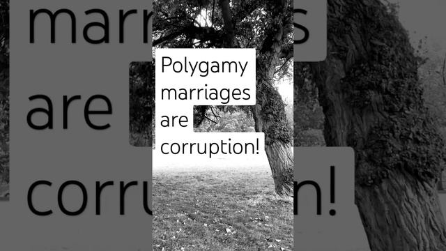 Polygamy marriages in Islam | poly