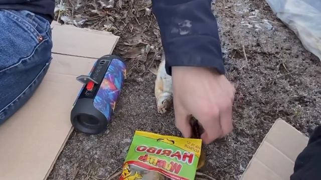 Пацаны зарабатывают на рыбалке😎.
