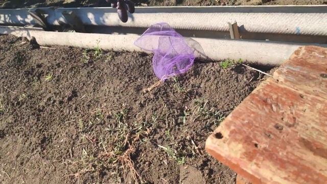 Днепр. сувенир, Торнадо, к-ш Арарат, к-ш Ламборджини, К-ш Хеллоуин, Взлетная полоса и другие новинк смотреть онлайн