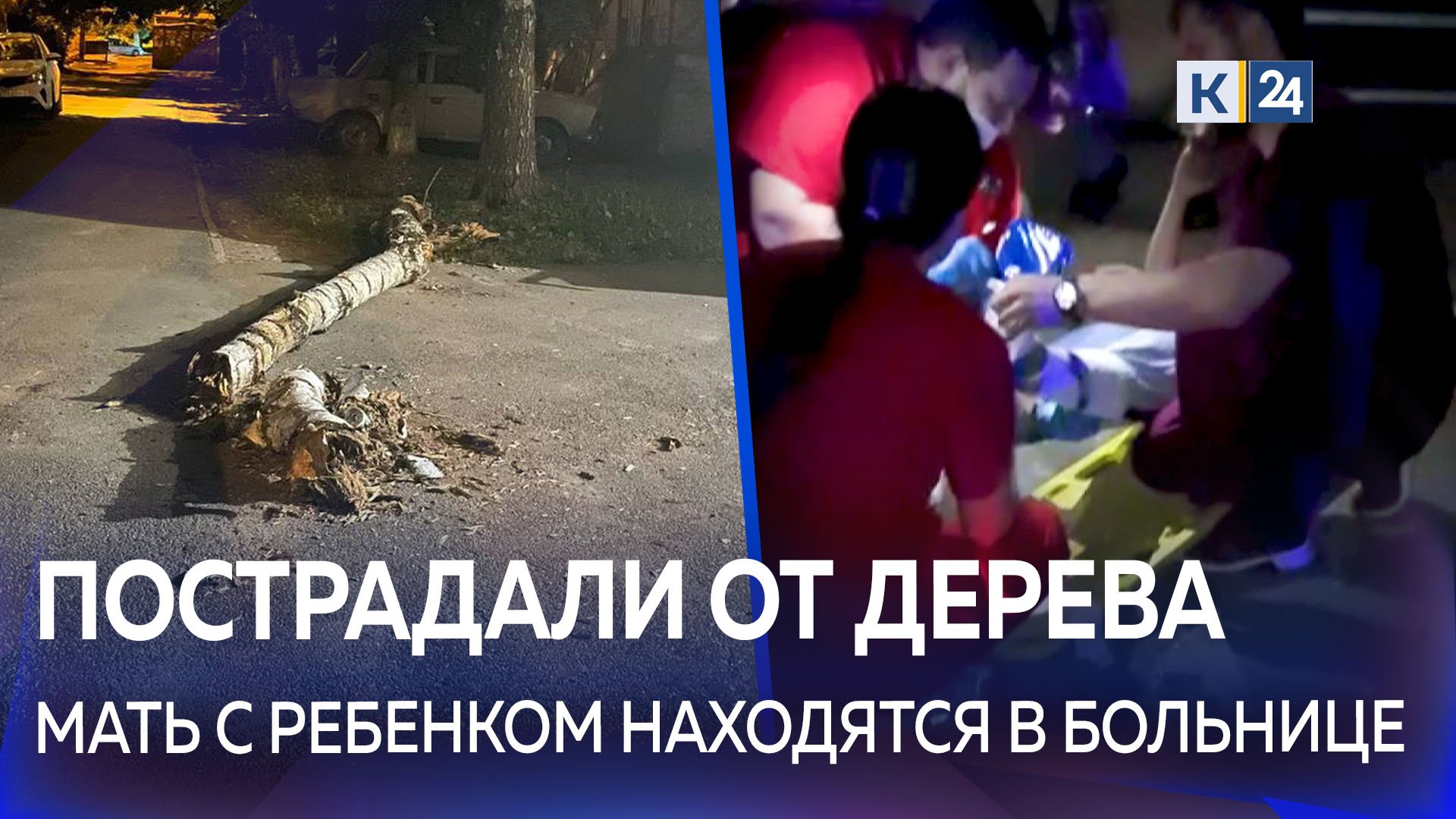 В Краснодаре сухое дерево упало на женщину с грудным ребенком