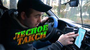 Лесное такси