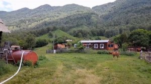 Алтай, Телецкое озеро, кордон Беле. 18 июня 2023 г.