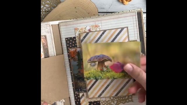 Осенний фотоальбом. Видеообзор смотреть онлайн