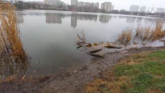 Кофе с ... Краснодар [HD]