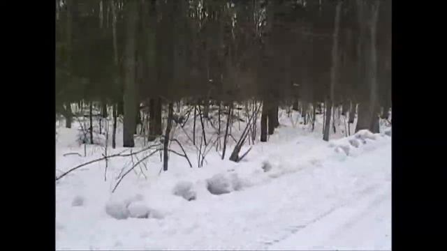 Упражнение на выдержку 1