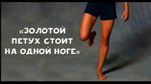 Упражнение "Золотой петух" для омоложения и оздоровления.