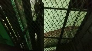 МЕГА РАРИТЕТ И АС-62! Модернизированный Лифт (ЦРМЗ-1971 г.в.) V=0,65м/с, Q=350кг (г. Красноярск)