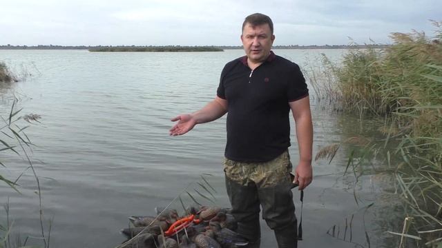 Новый способ укладки и переноски утиных чучел.