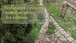 Продолжение разборки с розами, подготовка к переносу парника | vlog Дача как есть 14.04.2024