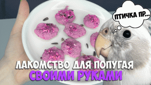 ЛАКОМСТВО ДЛЯ ПОПУГАЯ СВОИМИ РУКАМИ