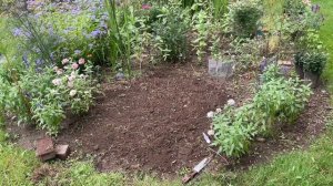 Renovating the Pollinator Garden Bed. Adding Perennials and Lifting Gladiolus